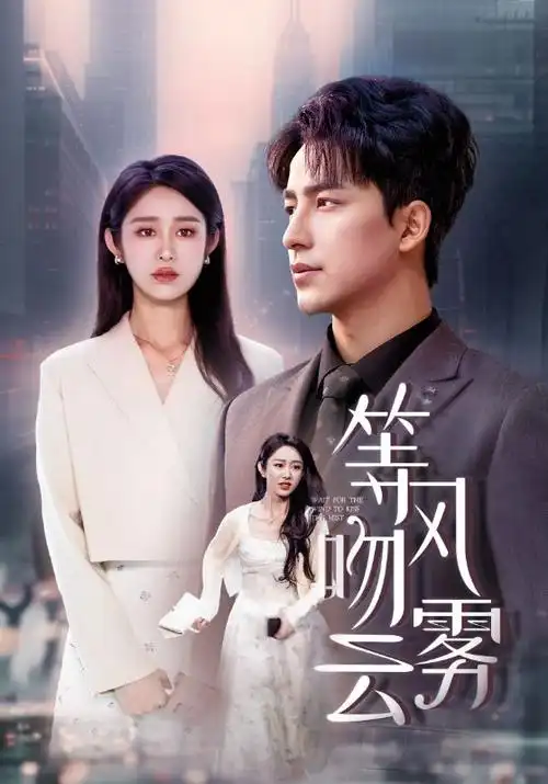 雾港回声热播电视剧全集免费观看